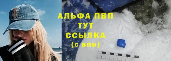 бошки Ладушкин