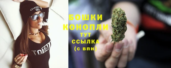 бошки Ладушкин