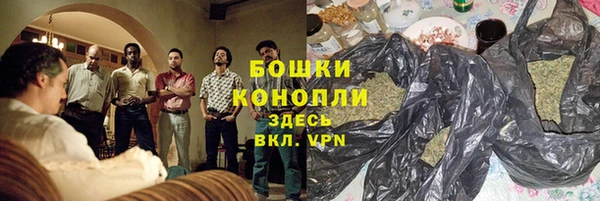 бошки Ладушкин