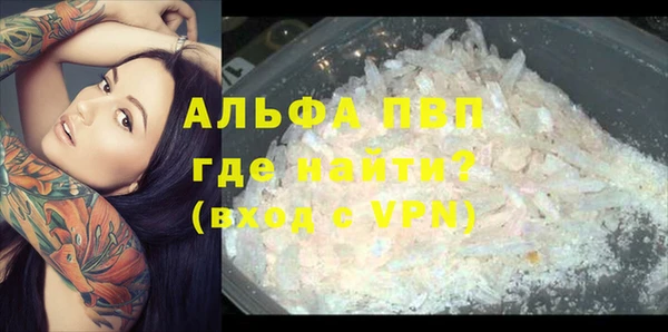 ПСИЛОЦИБИНОВЫЕ ГРИБЫ Лабытнанги