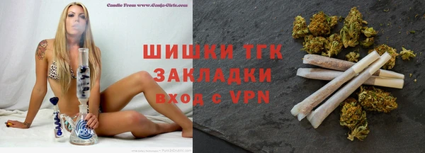 бошки Ладушкин