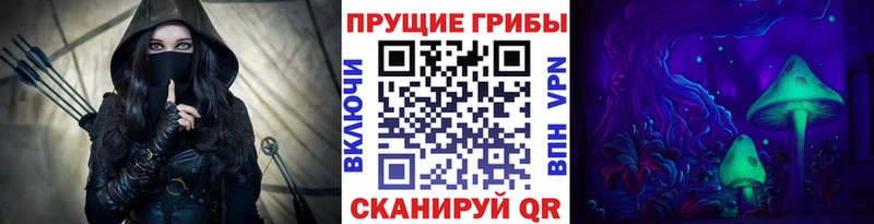 Галлюциногенные грибы Psilocybine cubensis  Чистополь 