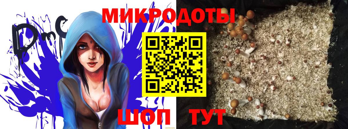 Псилоцибиновые грибы Magic Shrooms Чистополь
